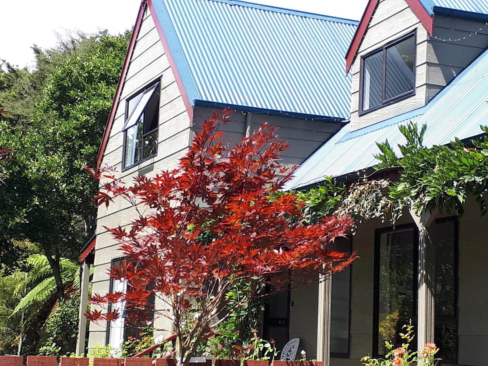 Rangaroa Heights Bed & Breakfast Taumarunui Eksteriør bilde