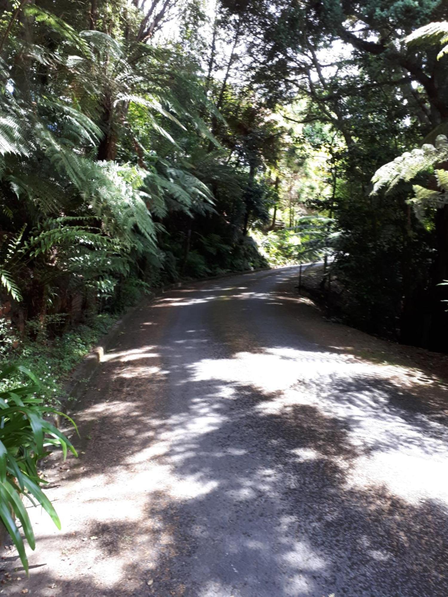 Rangaroa Heights Bed & Breakfast Taumarunui Eksteriør bilde